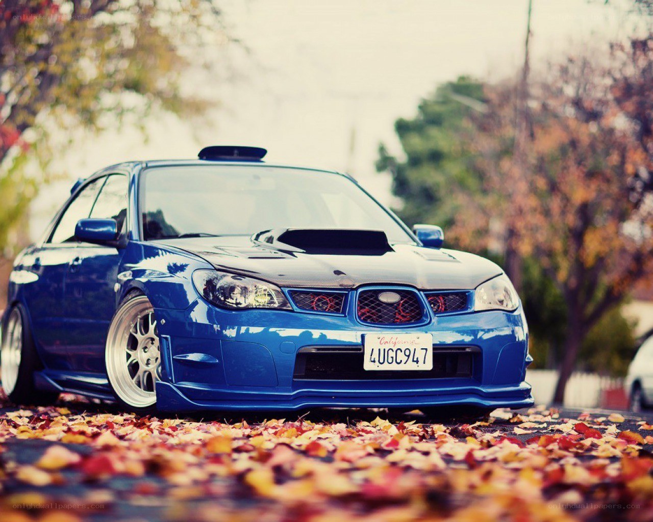 blue subaru in autumn leaves