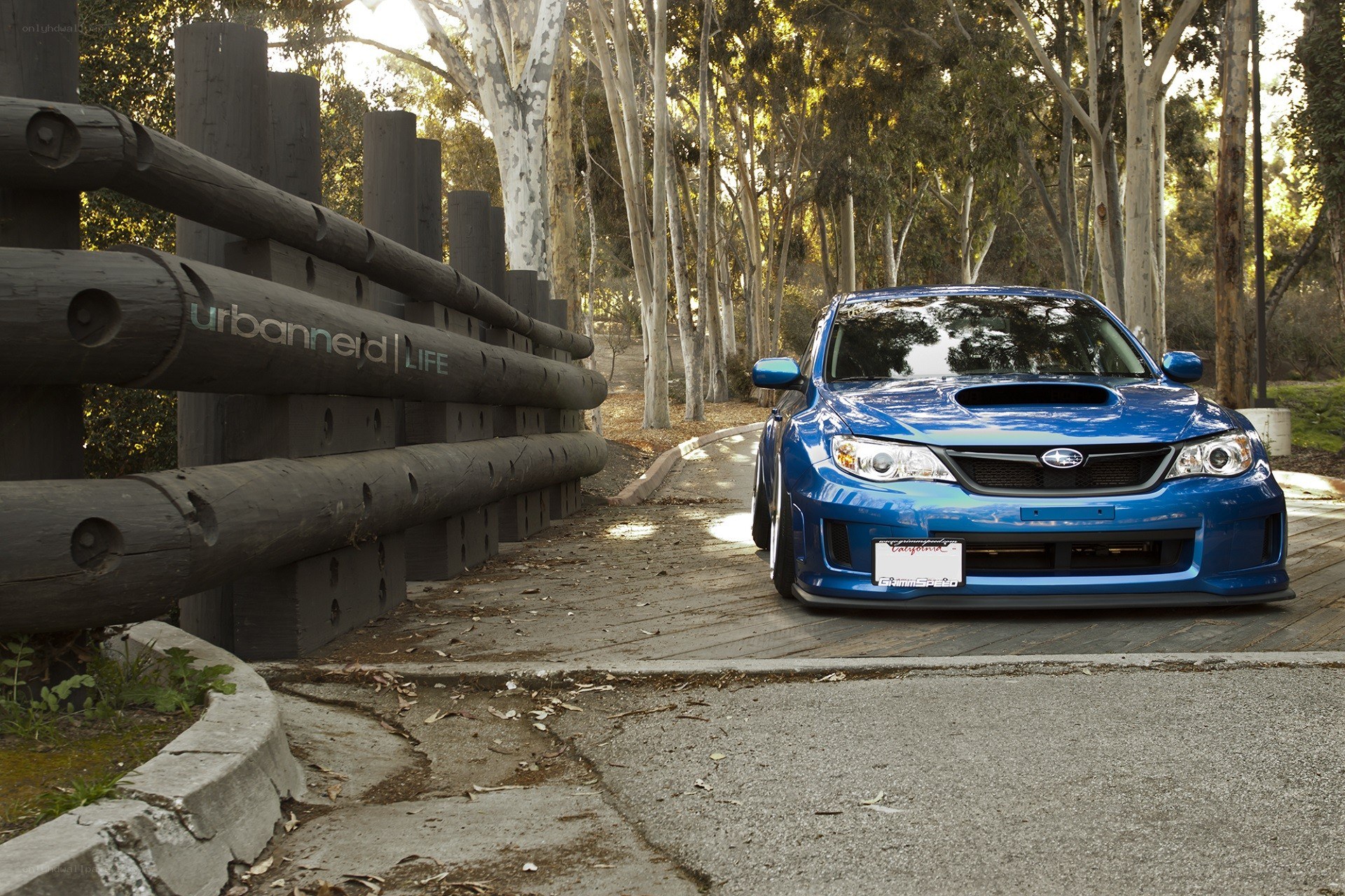 Blue Subaru on a forest path