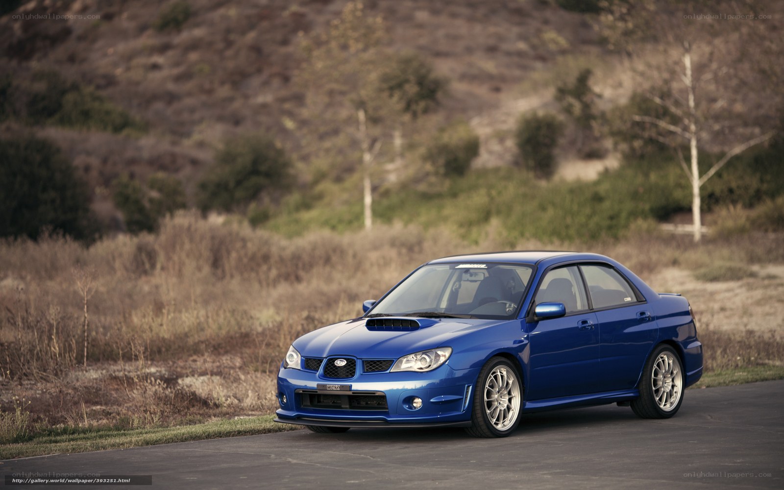 Blue Subaru WRX on a road
