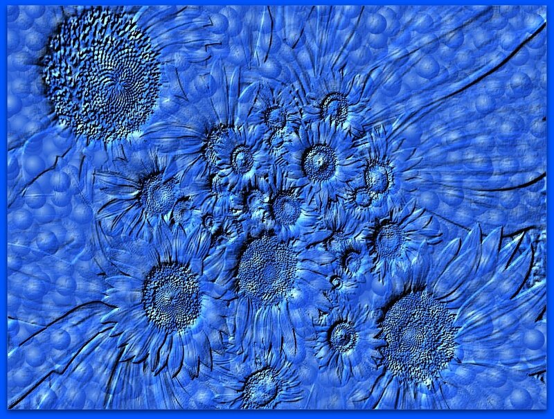 Blue Sunflowers