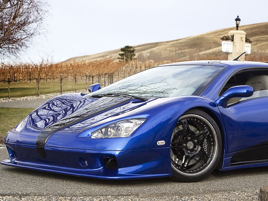 Blue supercar in vineyard