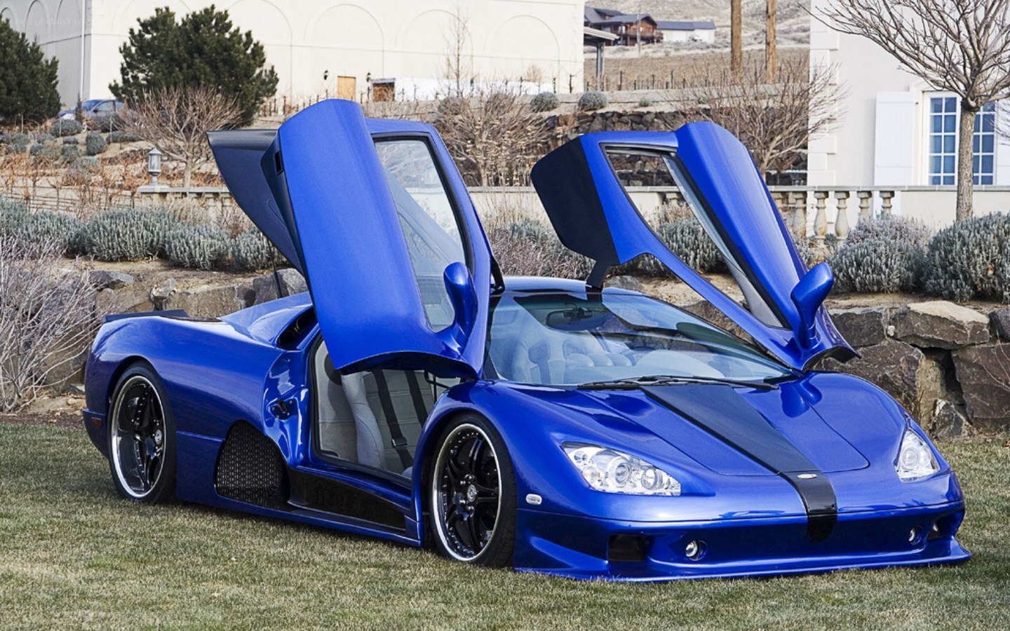 Blue supercar with doors open
