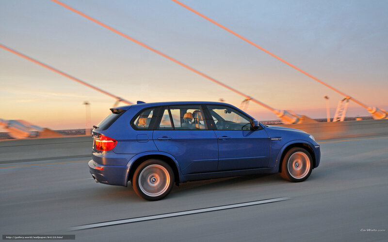 Blue Suv on Bridge