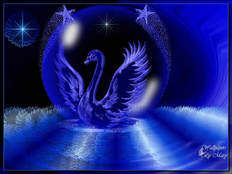 Blue Swan in Snow