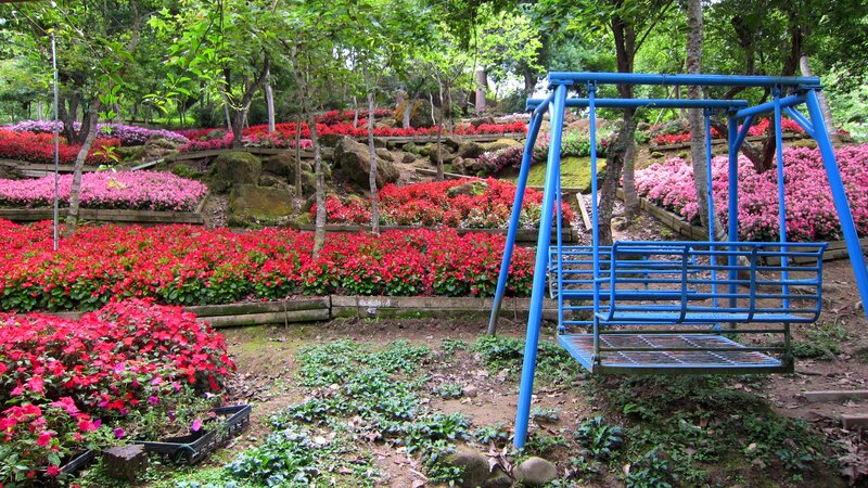 Blue Swing in Garden
