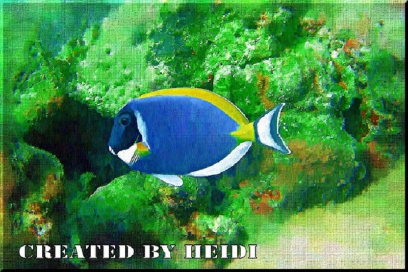 Blue Tang Fish — Green