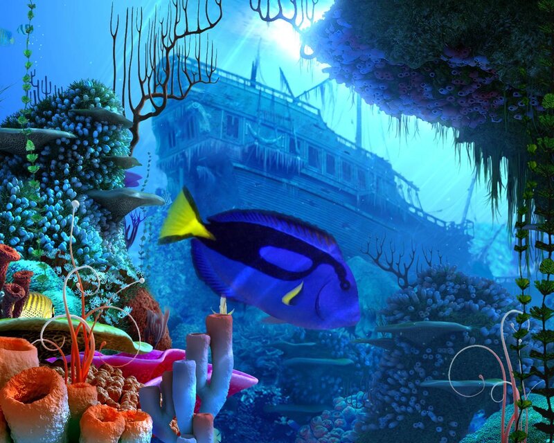 Blue Tang Fish