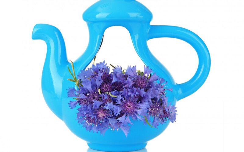Blue Teapot with Flowers — Calm, Photograph