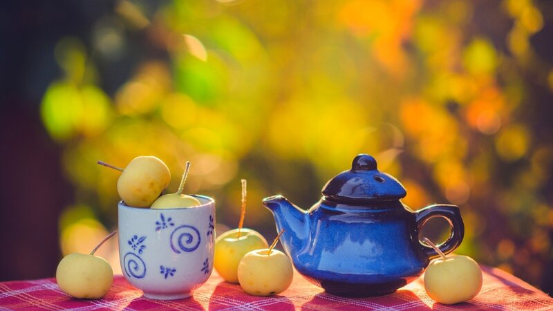 Blue Teapot with Pears — Serene