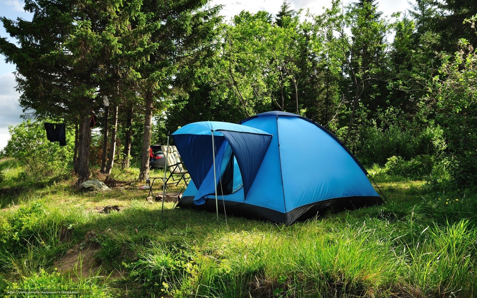 Blue tent in forest campsite