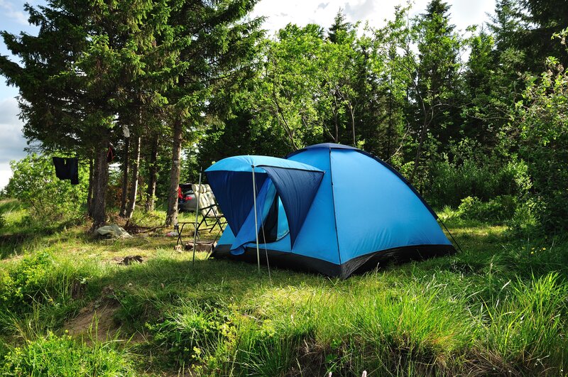 Blue Tent in Forest — Serene