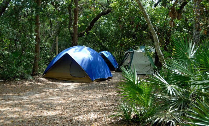 Blue Tents in Forest