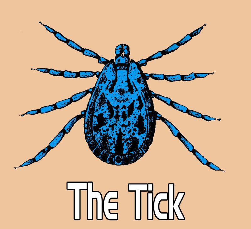Blue tick illustration