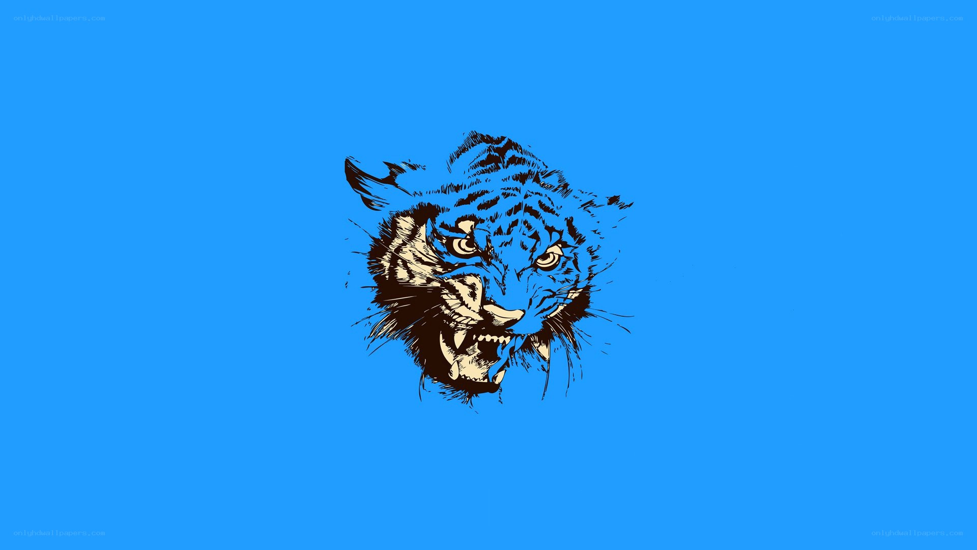 Blue tiger head illustration