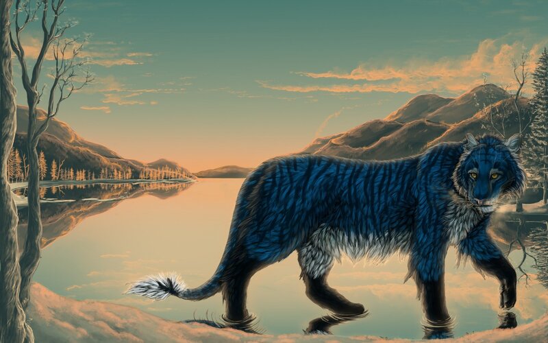 Blue Tiger Walking