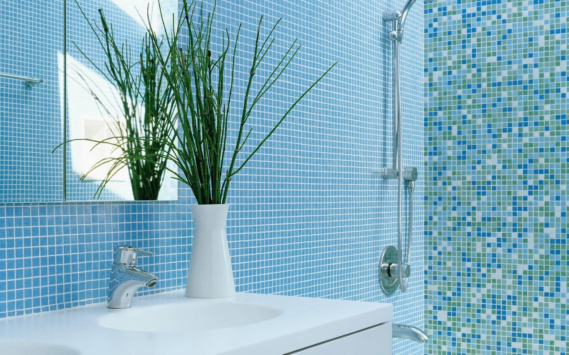 Blue-tiled bathroom with plant