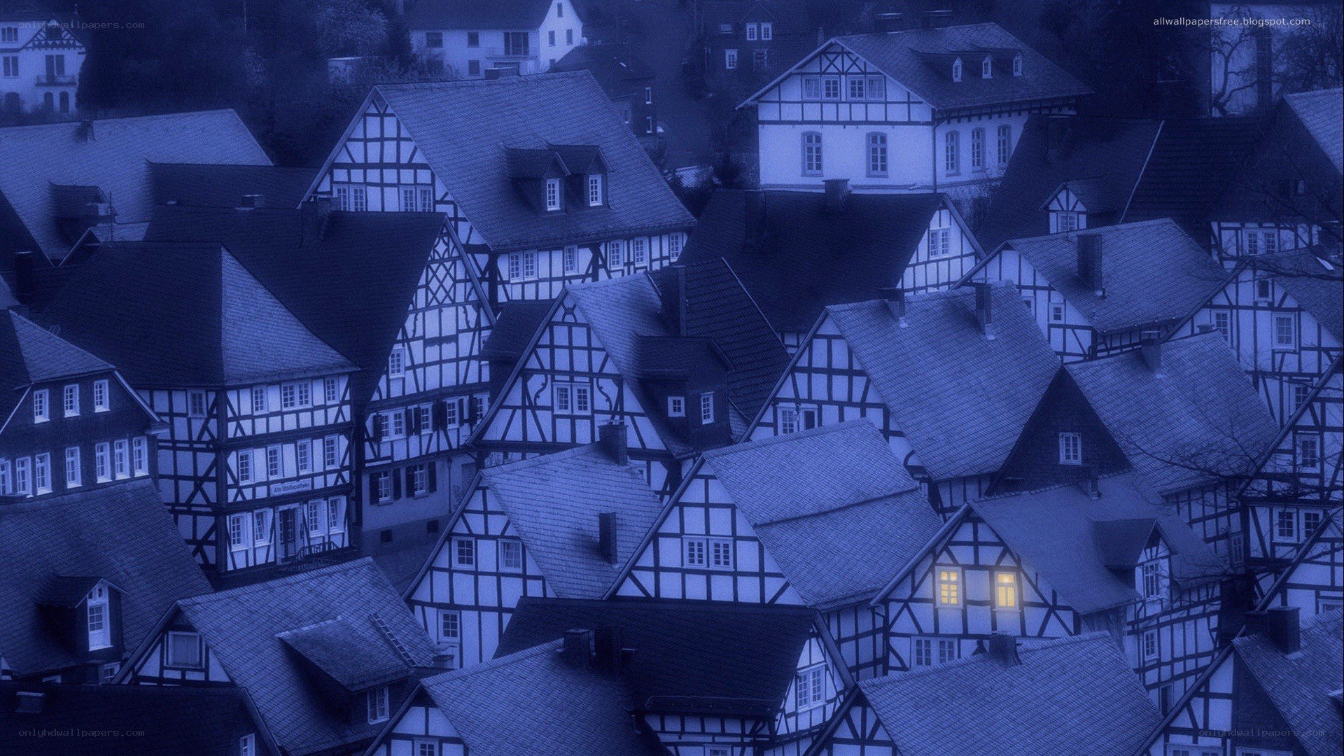 blue-tinted village rooftops