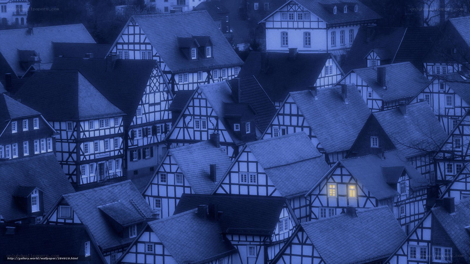 blue-tinted village rooftops