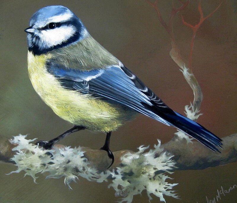Blue Tit Bird — Calm, Painting