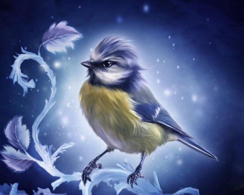 Blue Tit Bird on Branch — Serene, Night