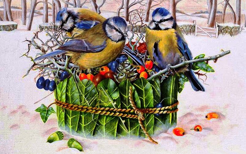 Blue Tit Birds in Basket