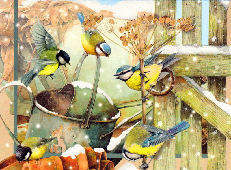 Blue Tit Birds in Winter