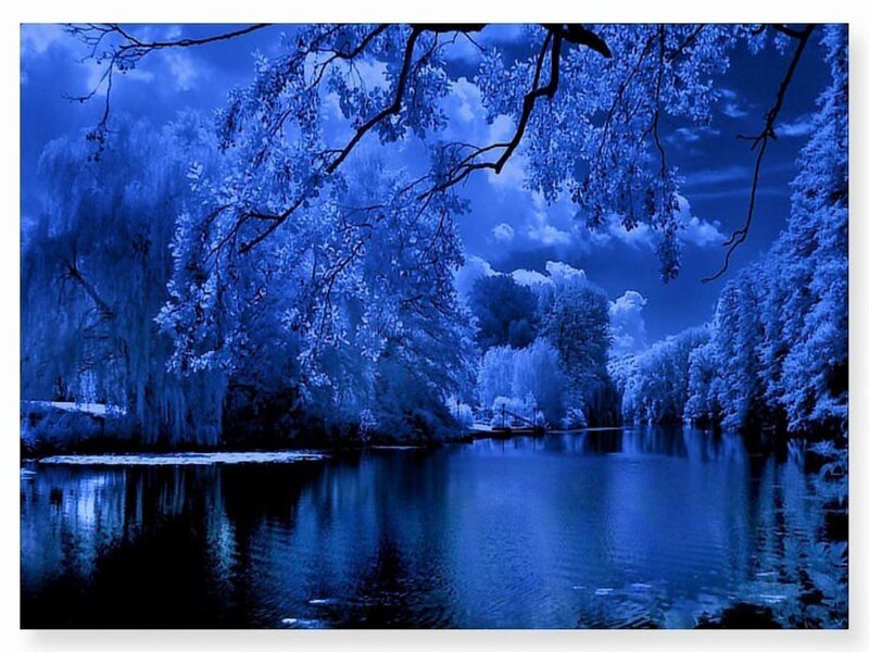 Blue-toned forest lake scene