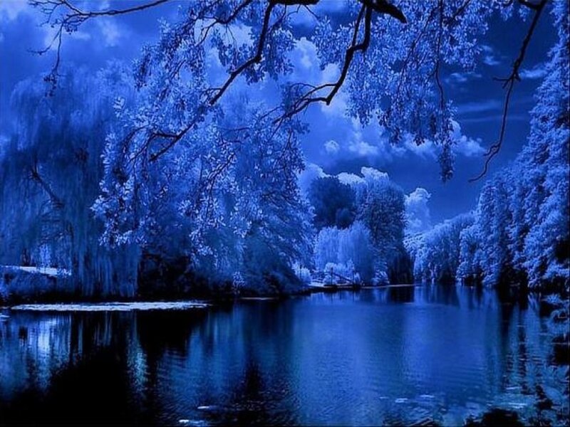 Blue-toned Forest Lake