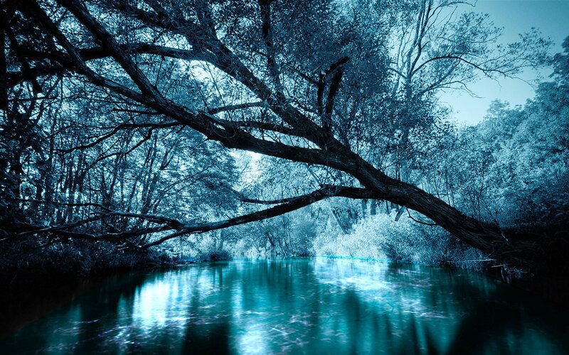 Blue-toned forest river scene