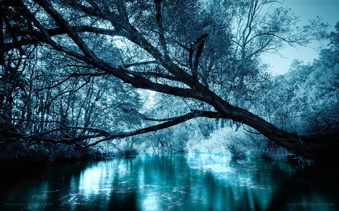 Blue-toned forest river scene
