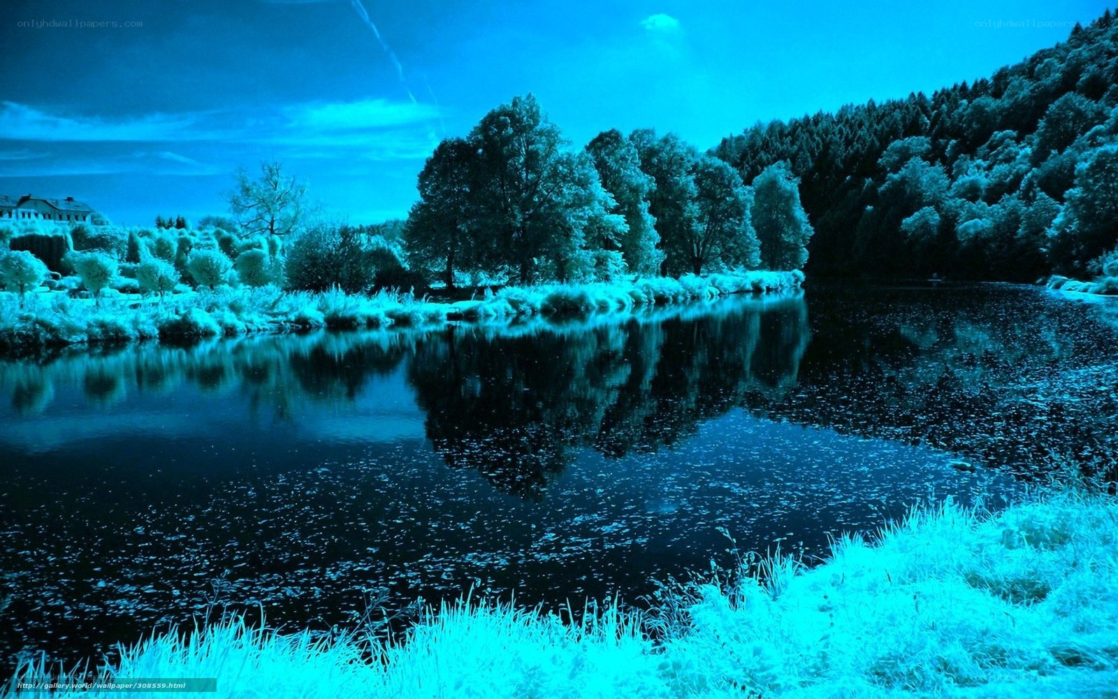 Blue-toned lake landscape