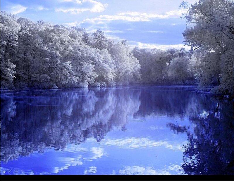 Blue-toned Lake Reflection
