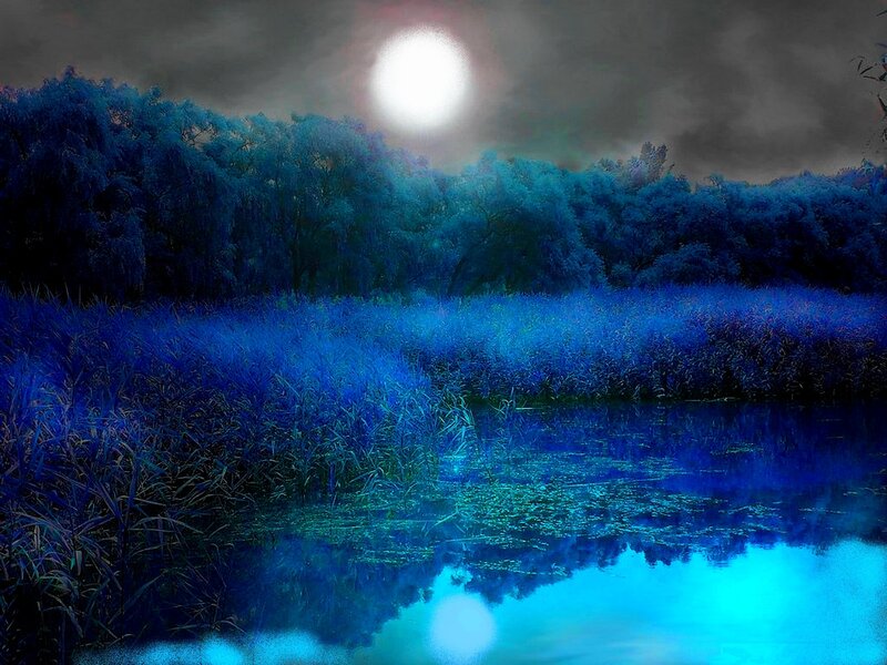 Blue-toned Marsh at Night