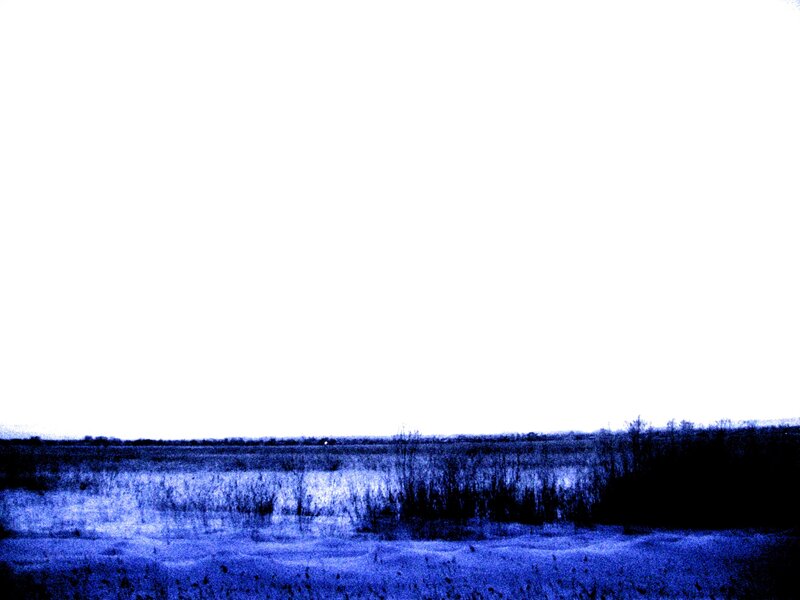 Blue-toned Marsh Landscape
