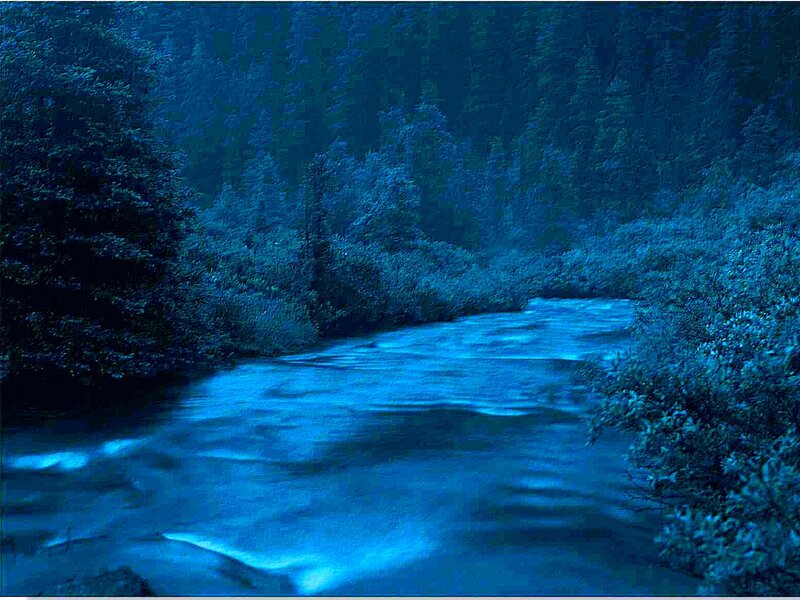 Blue-toned river in forest