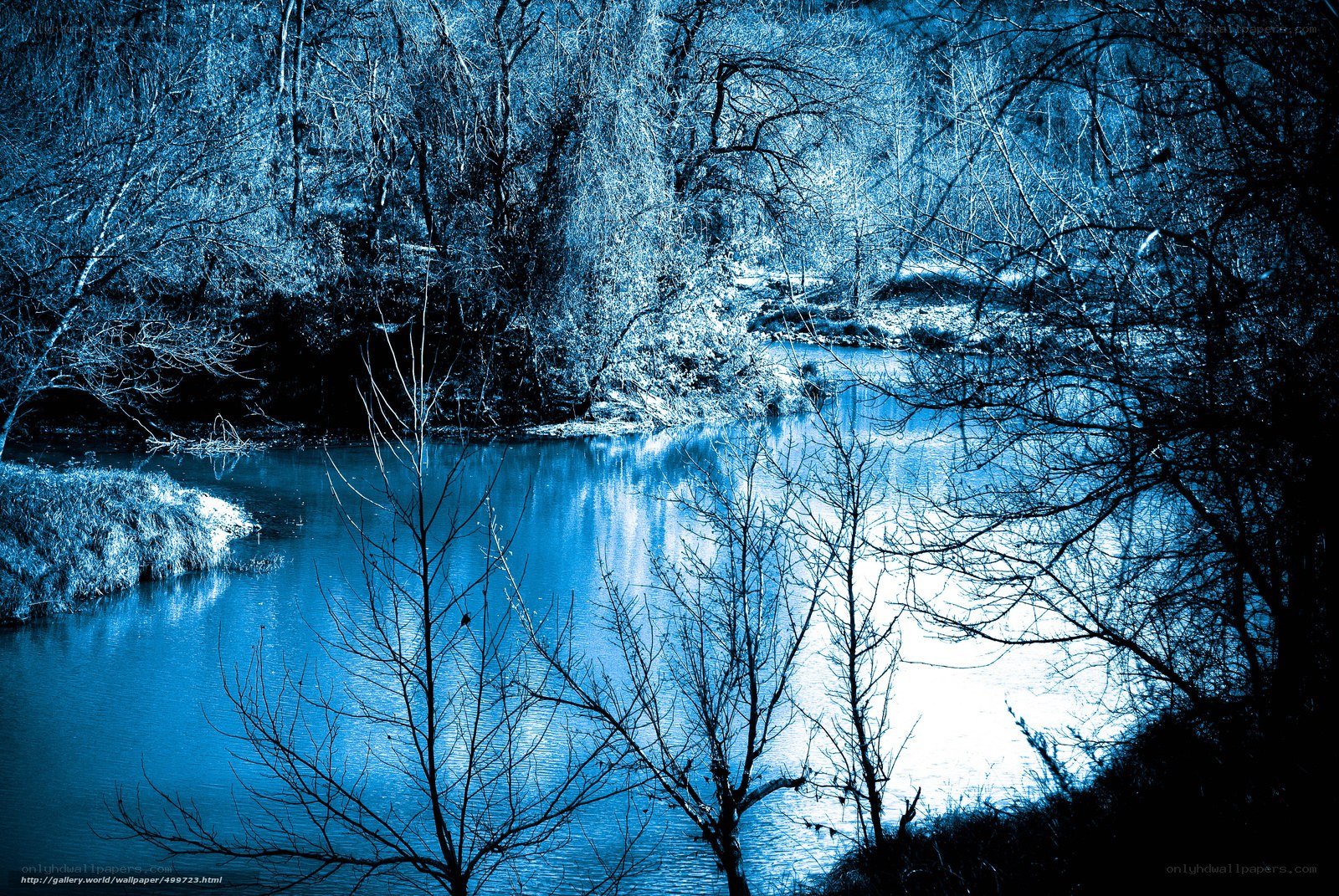 Blue-toned river landscape
