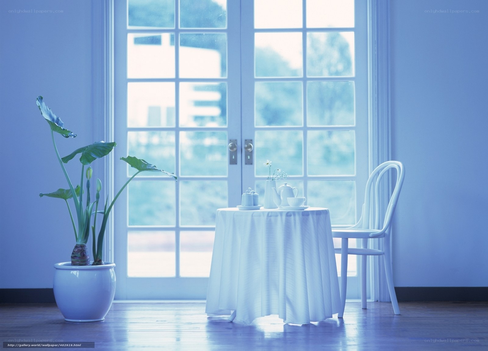 Blue-toned room with table and plant