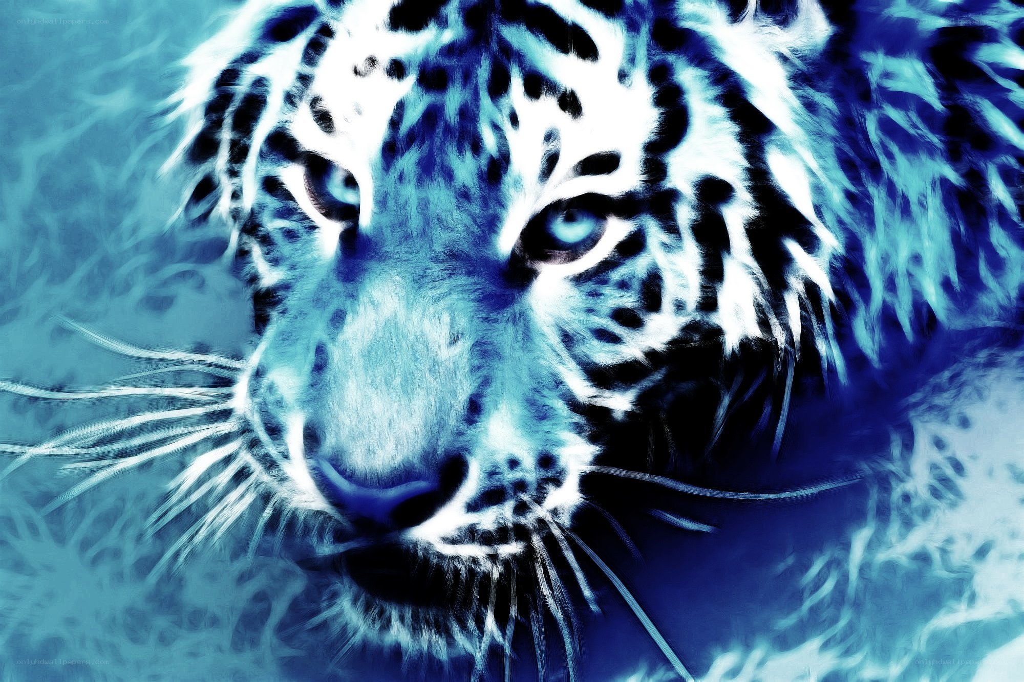 blue-toned tiger portrait