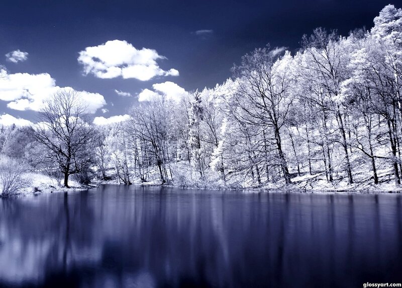 Blue-toned winter forest lake