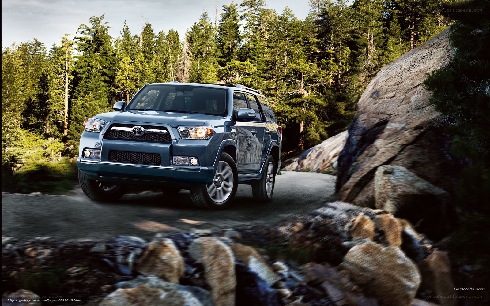 Blue Toyota 4Runner on forest road