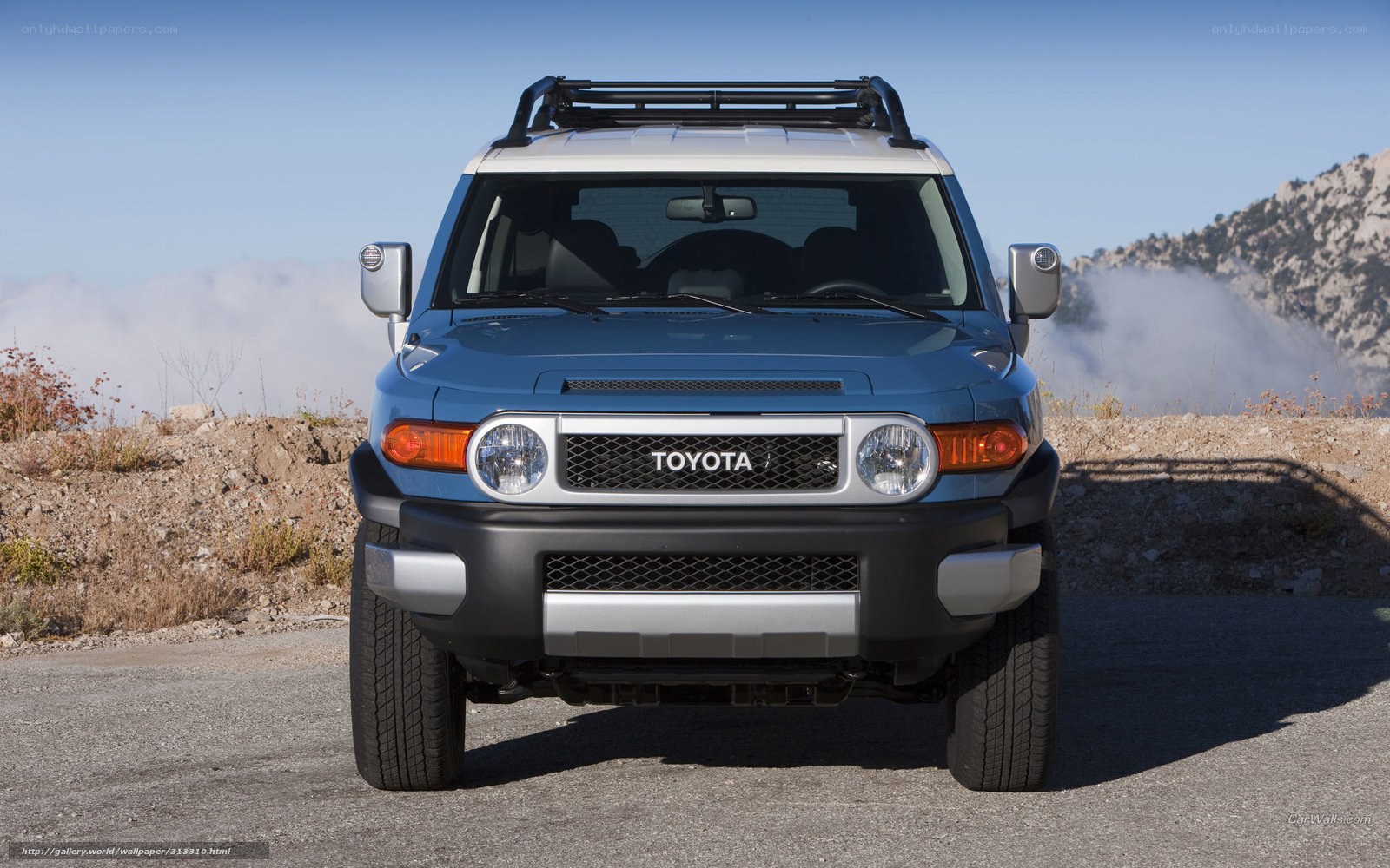 Blue Toyota FJ Cruiser