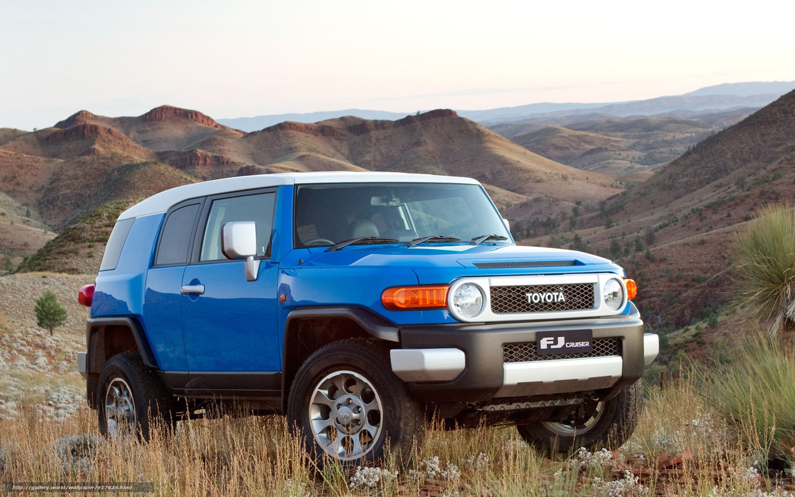 Blue Toyota FJ Cruiser in desert