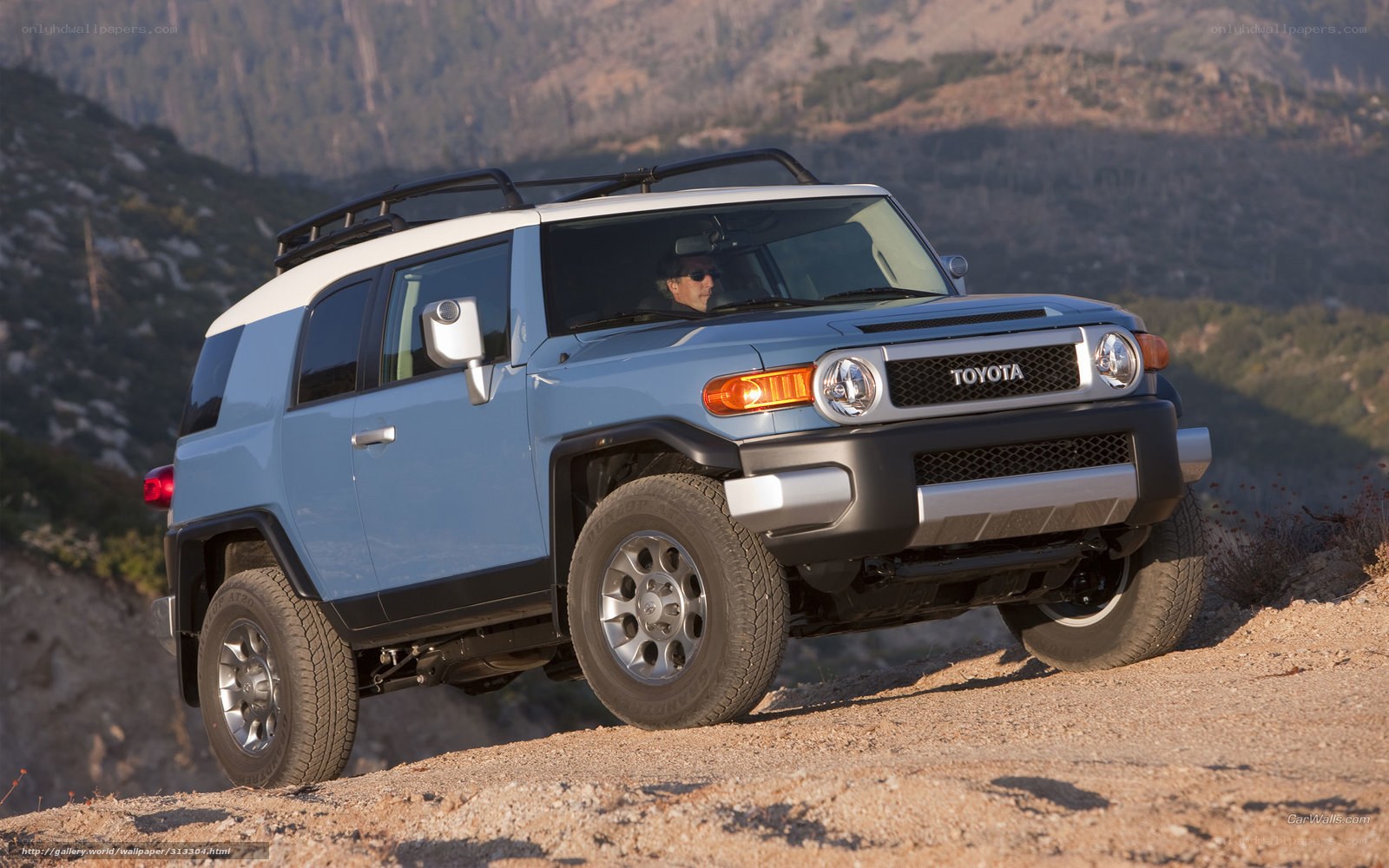 Blue Toyota FJ Cruiser on a hill
