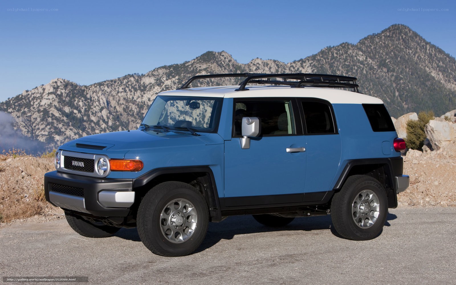 blue toyota fj cruiser