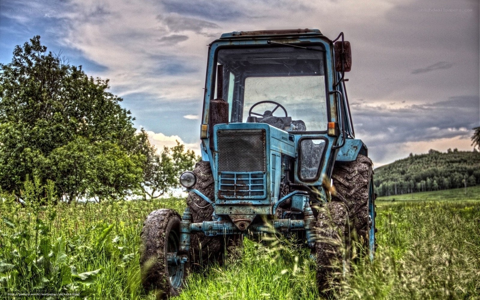 Blue tractor in a green field