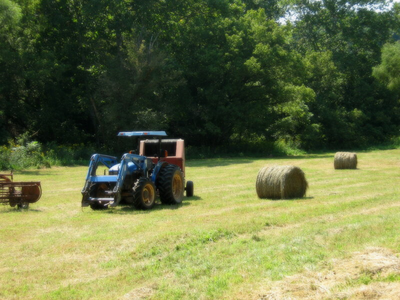 Blue Tractor in Field