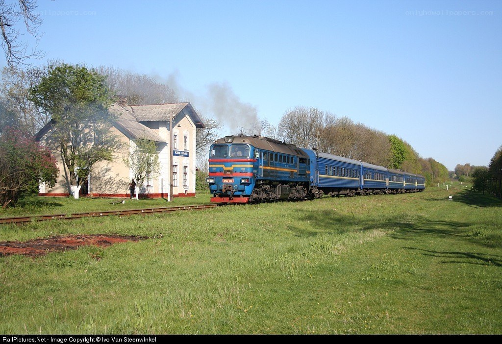 Blue train at rural station