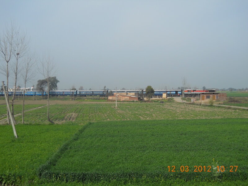 Blue Train in Field