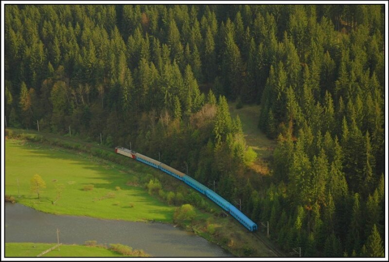 Blue train in forest landscape