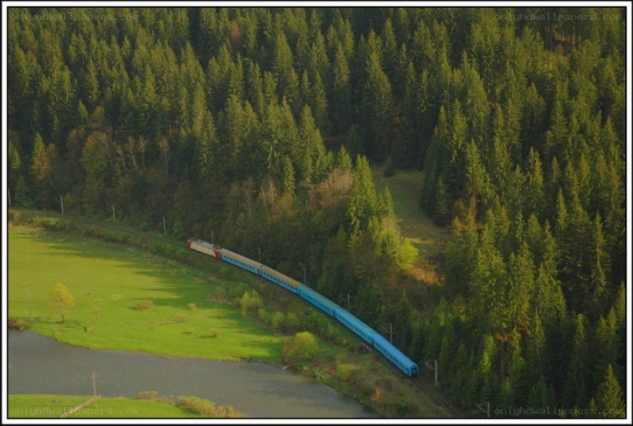 Blue train in forest landscape